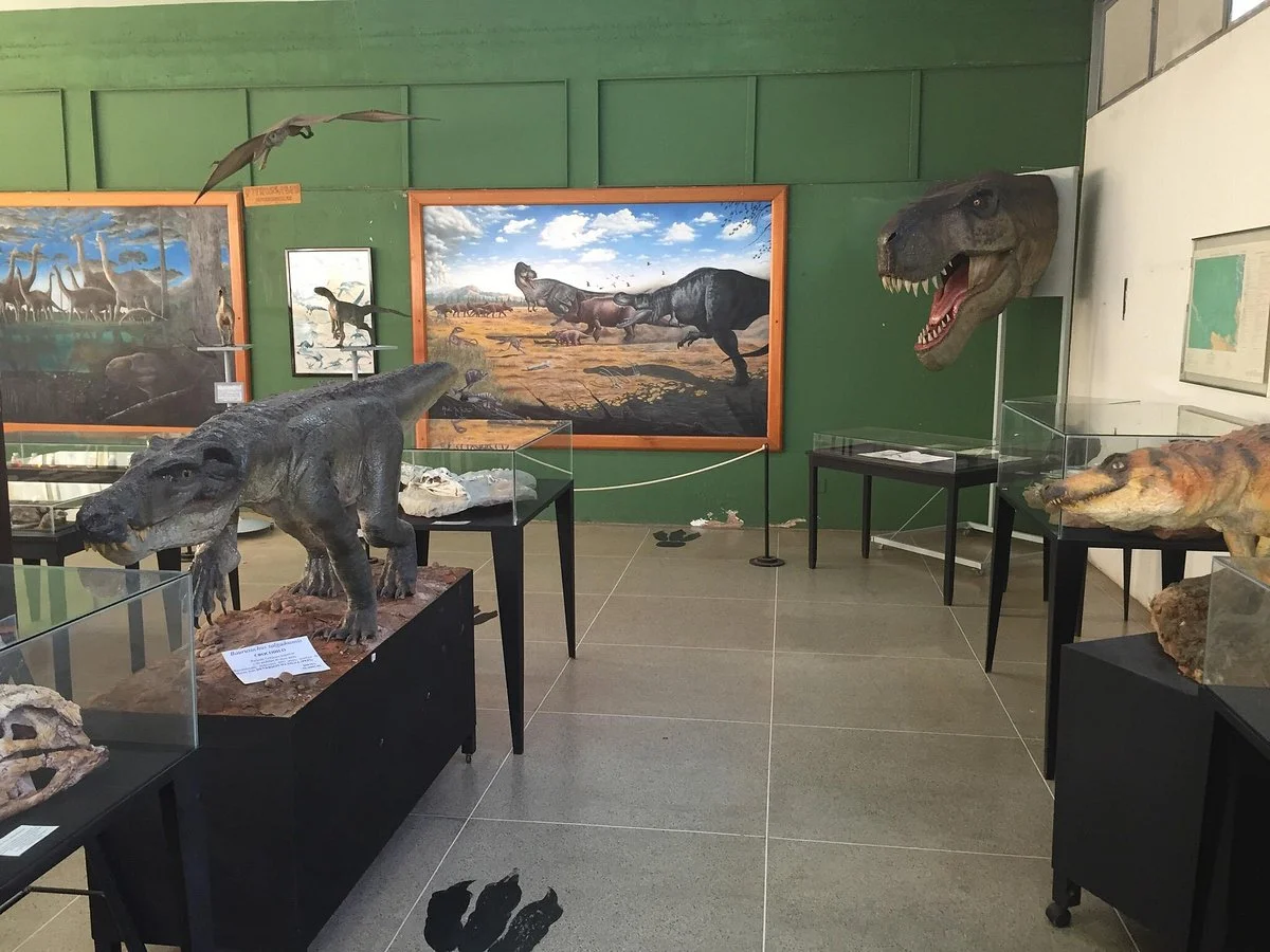 Paleontologia de Monte Alto Museum