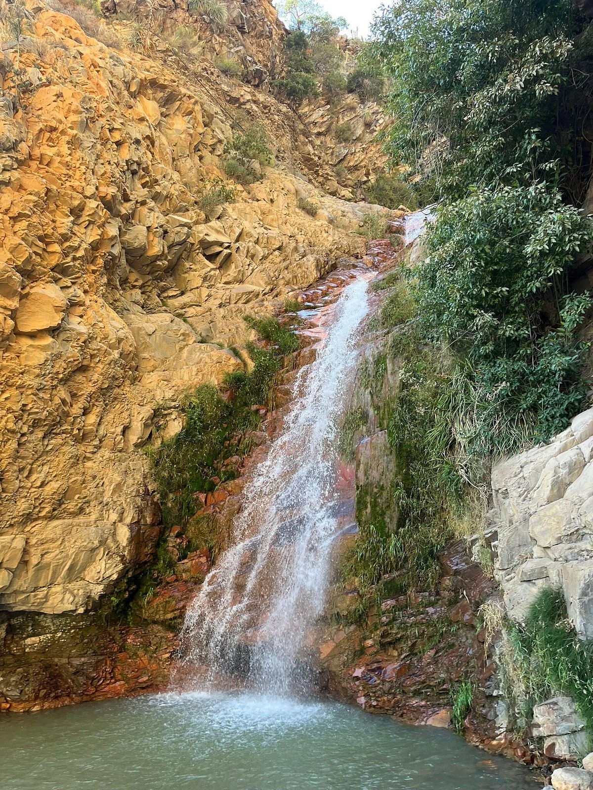 Las Melosas