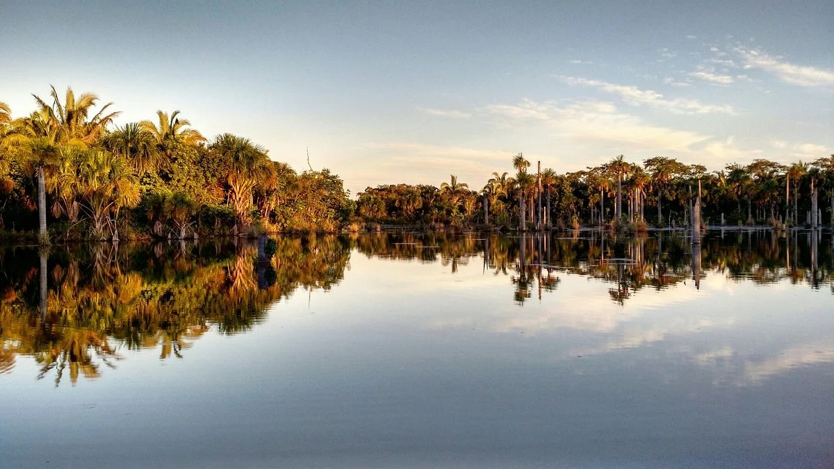 Lagoa das Araras