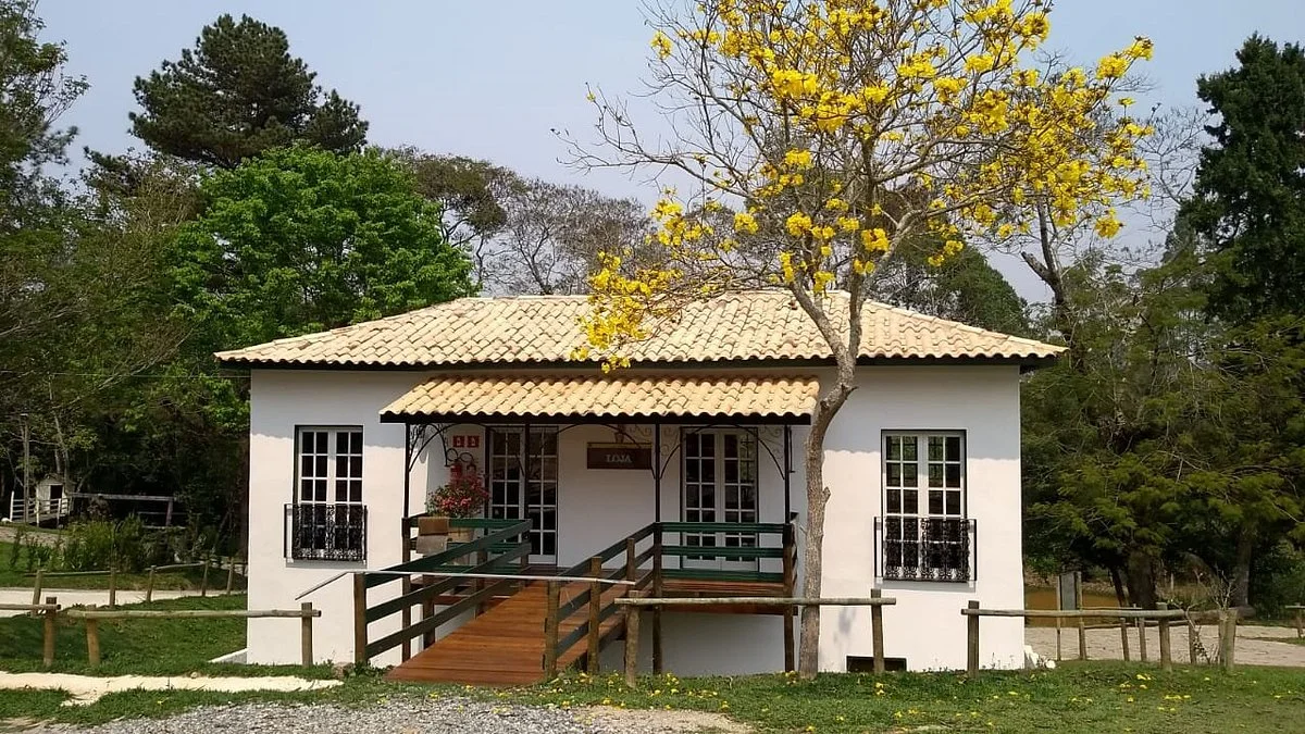Vinícola Casa da Árvore