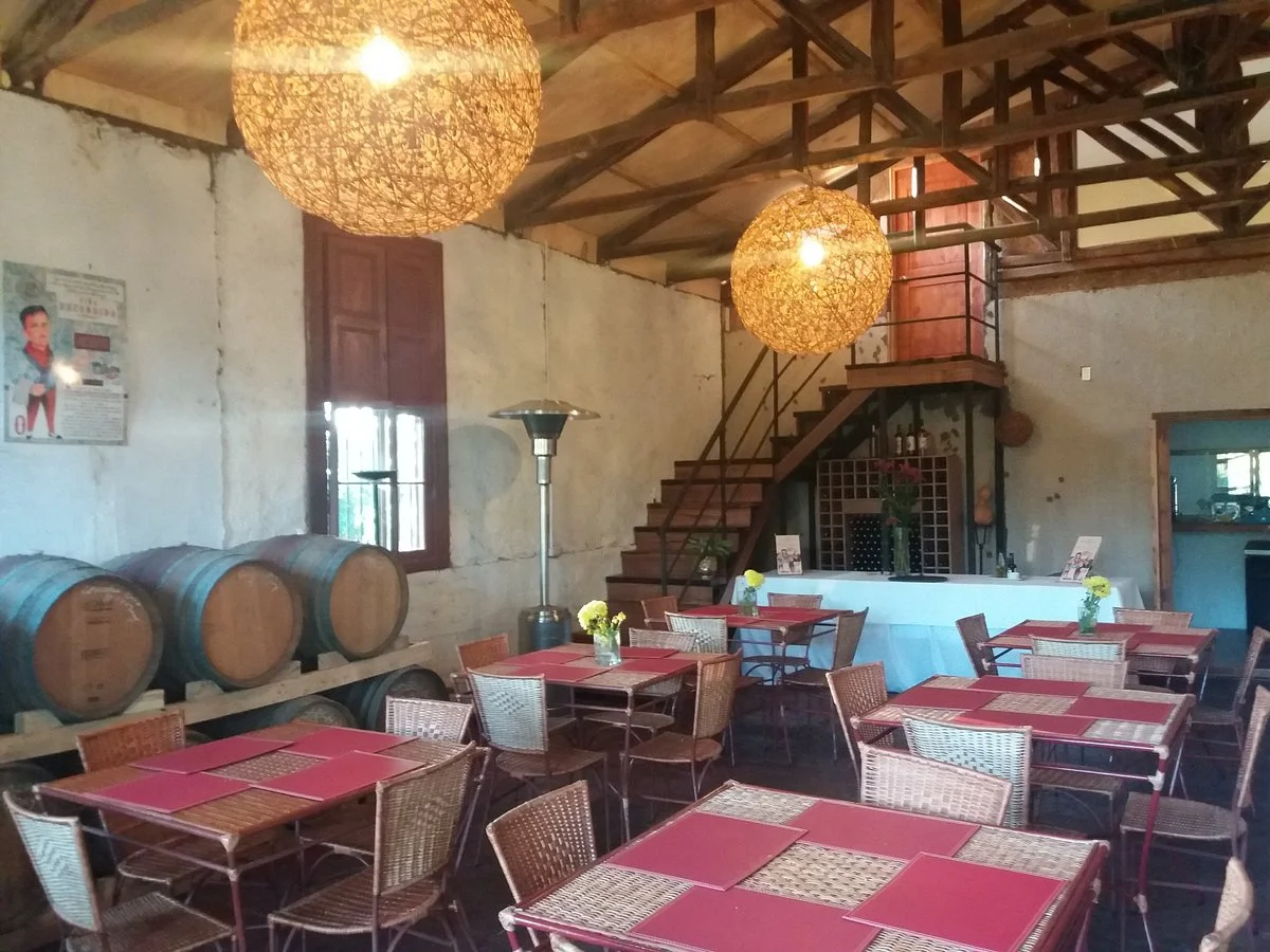 Vina Escondida de Colchagua