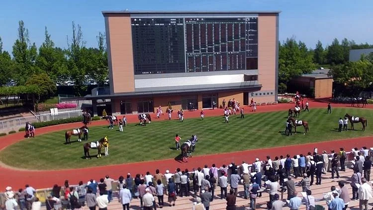 Niigata Horse Racetrack