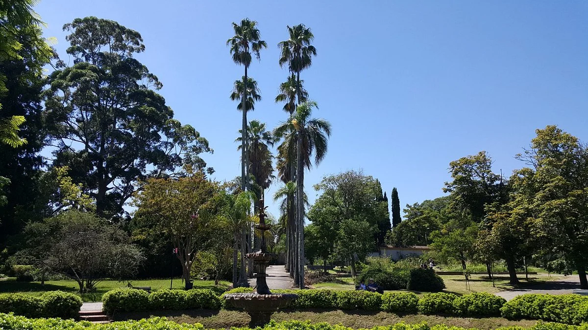 Jardin Botanico