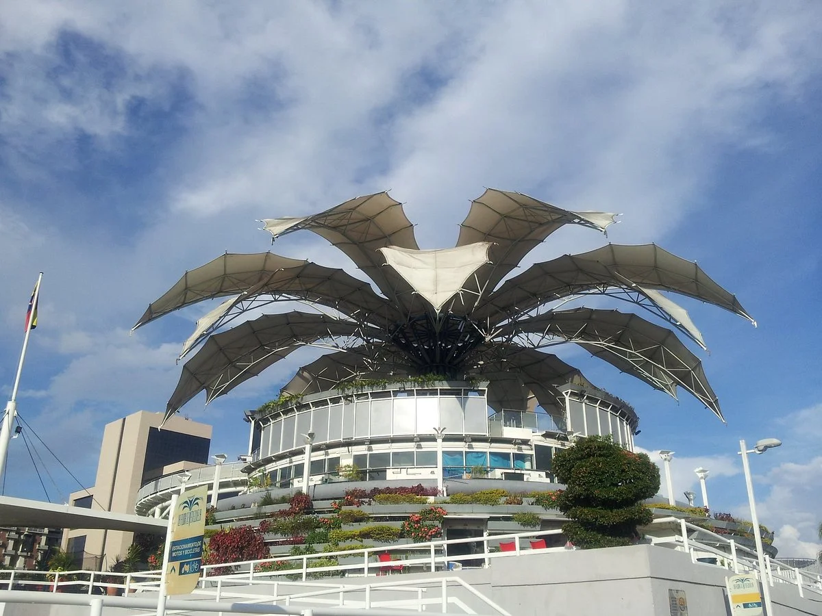La Flor de Venezuela