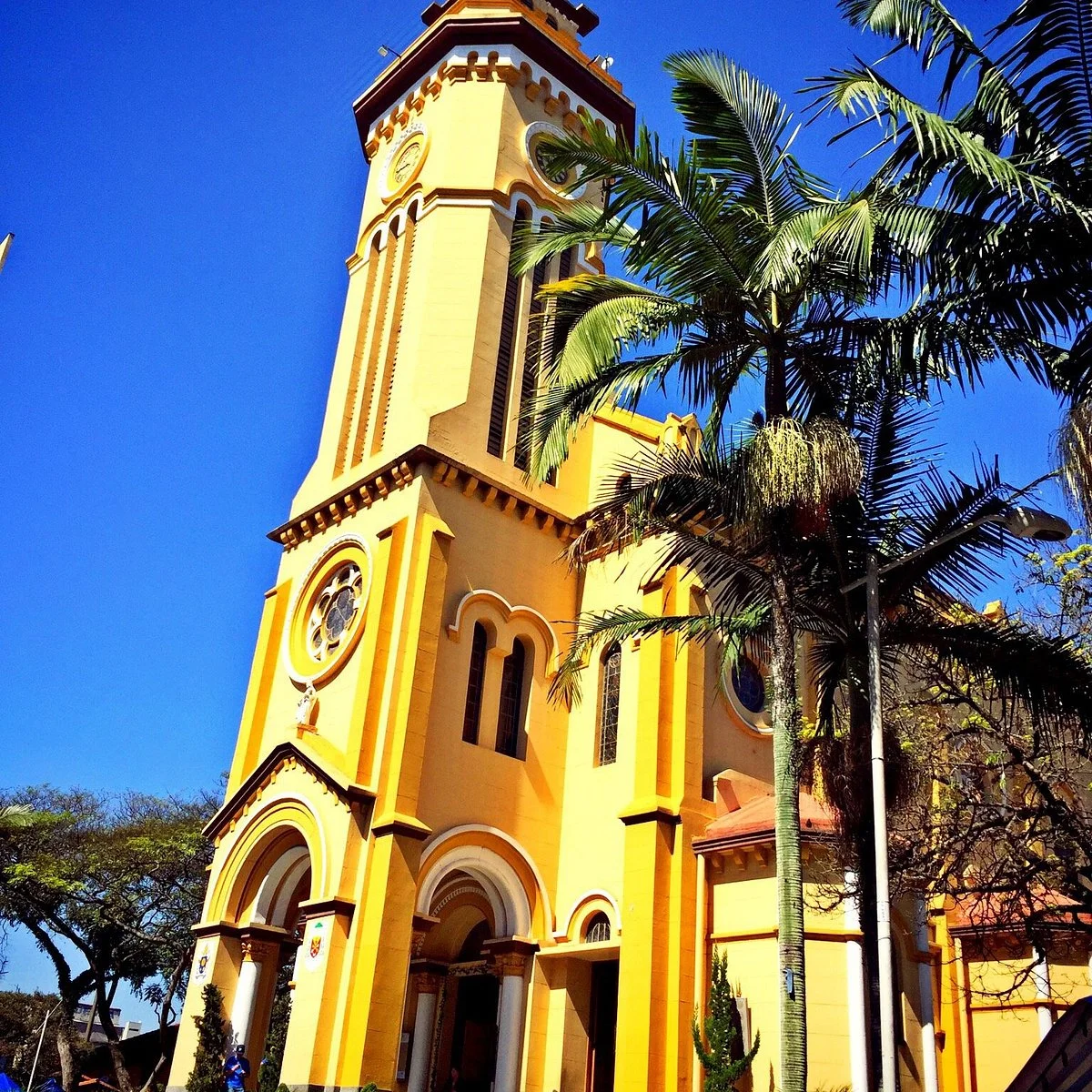 Carmo Cathedral
