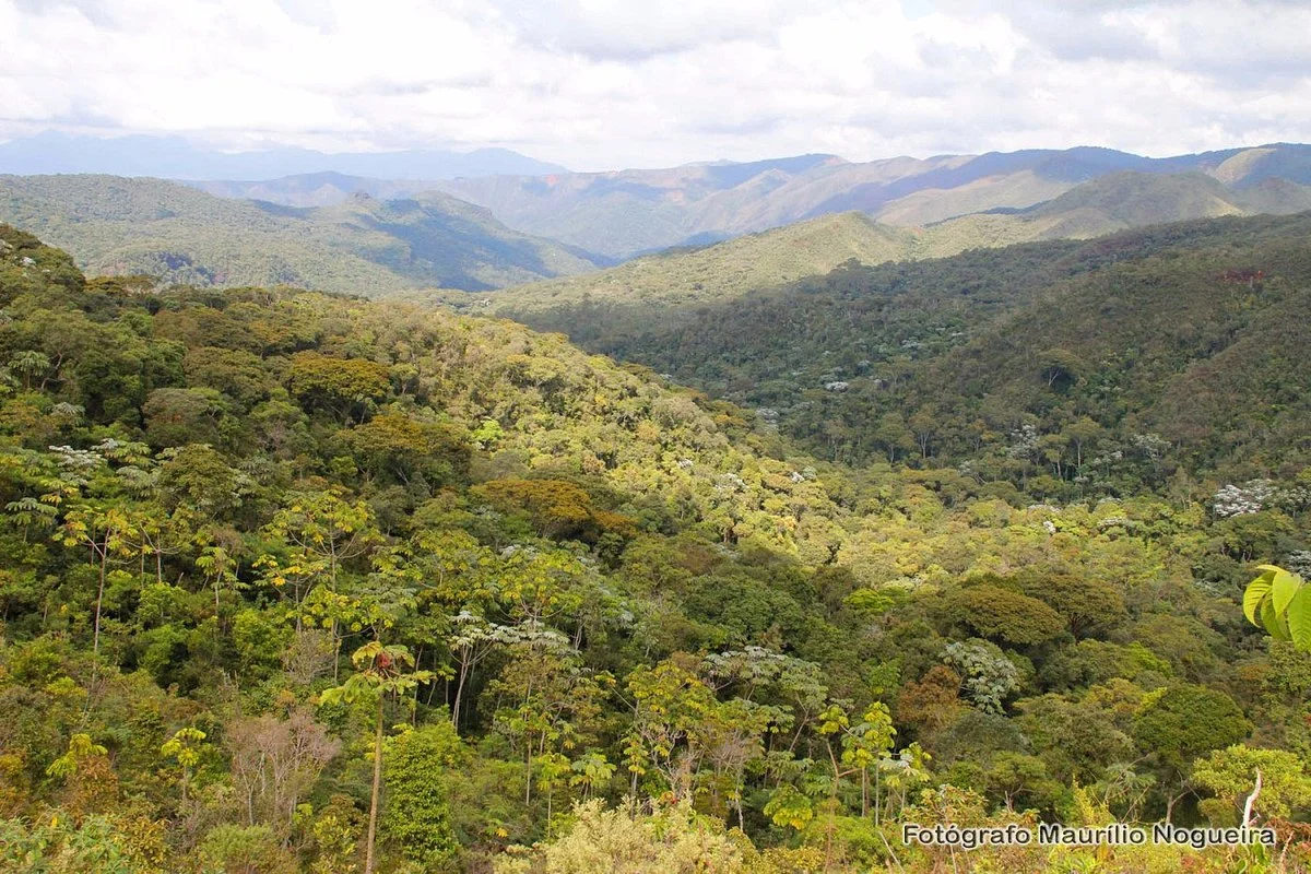 Serra do Gandarela Viewpoint