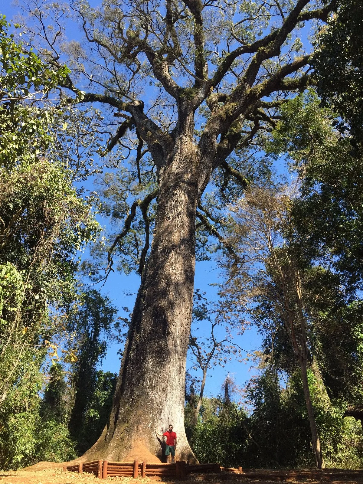 Parque Estadual Vassununga
