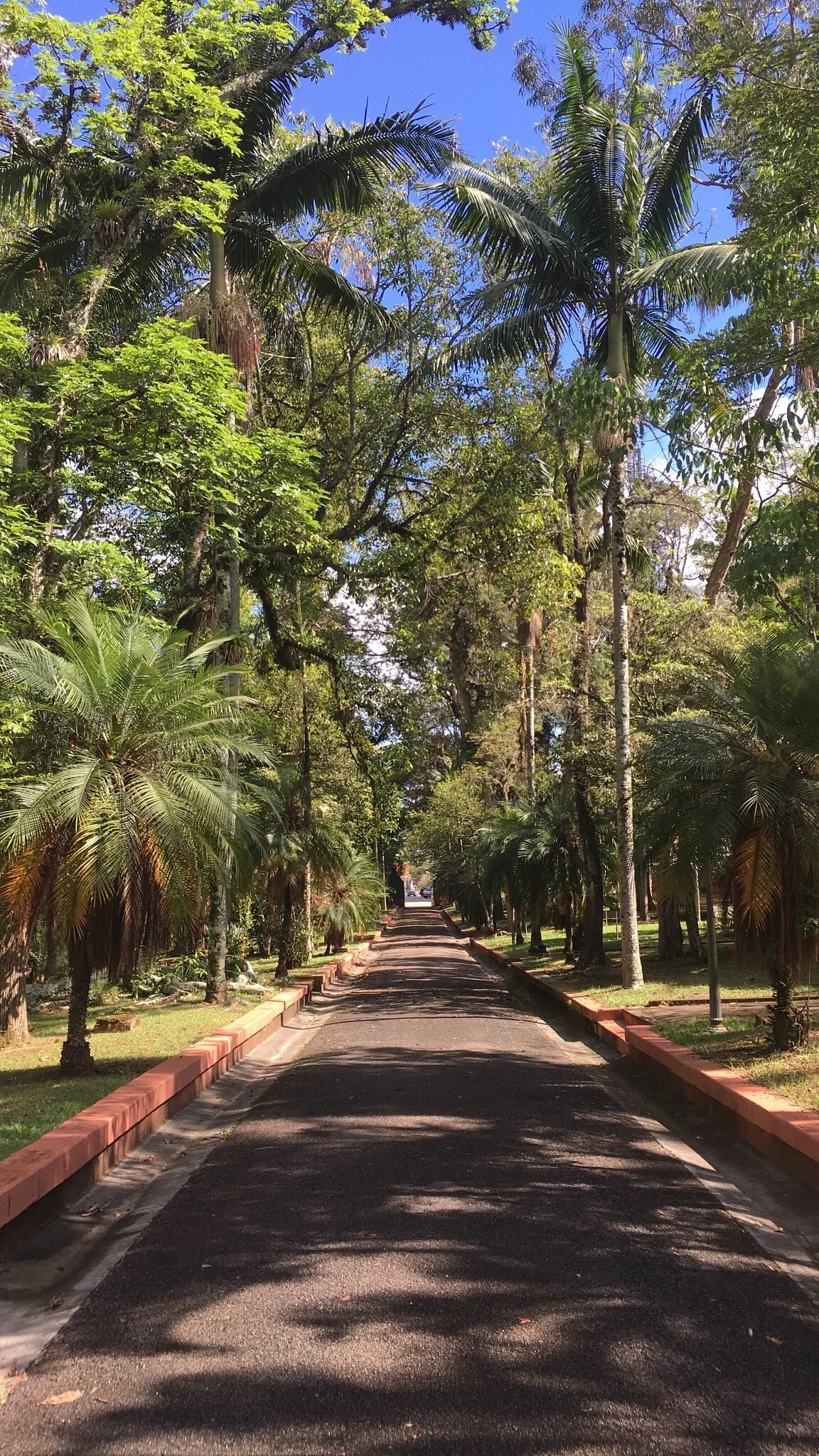 Luiz Gonzaga da Silva Leme Park