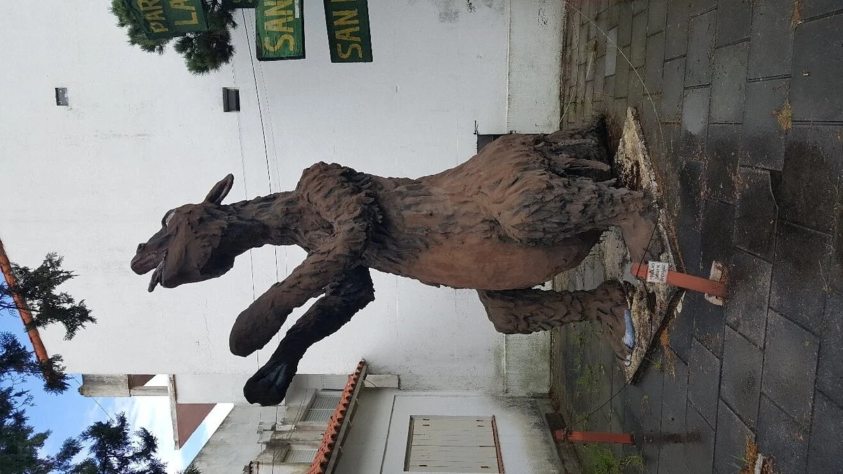 Museo Mar de Ajo