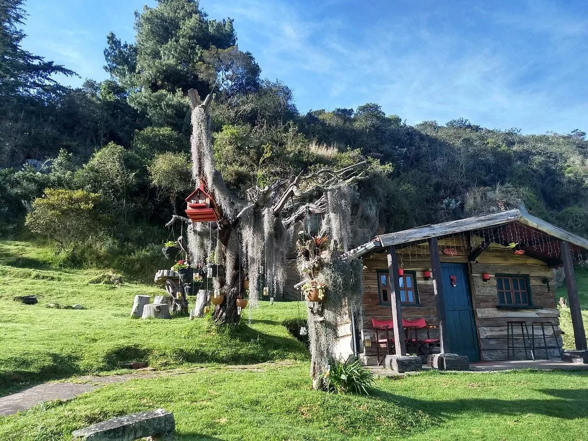 Petroglifos Pajarito