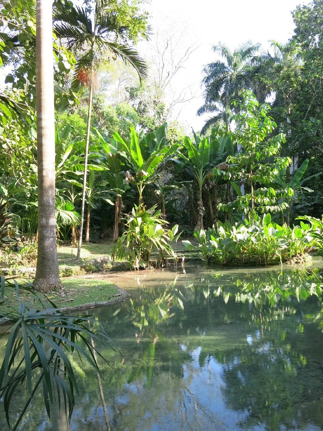 Jardín Botánico de Cartagena Guillermo Piñeres