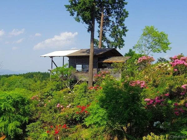 Oyama Shakunage Garden