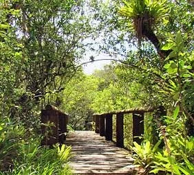 Parque Florestal Rio da Onça