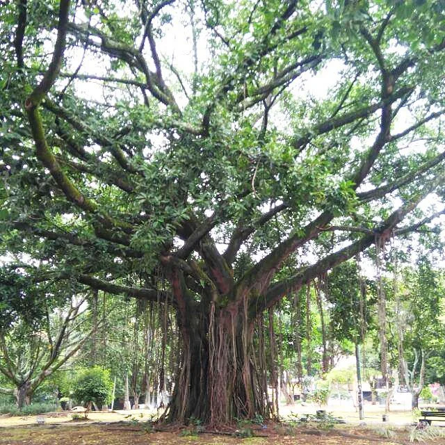 Parque del Perro