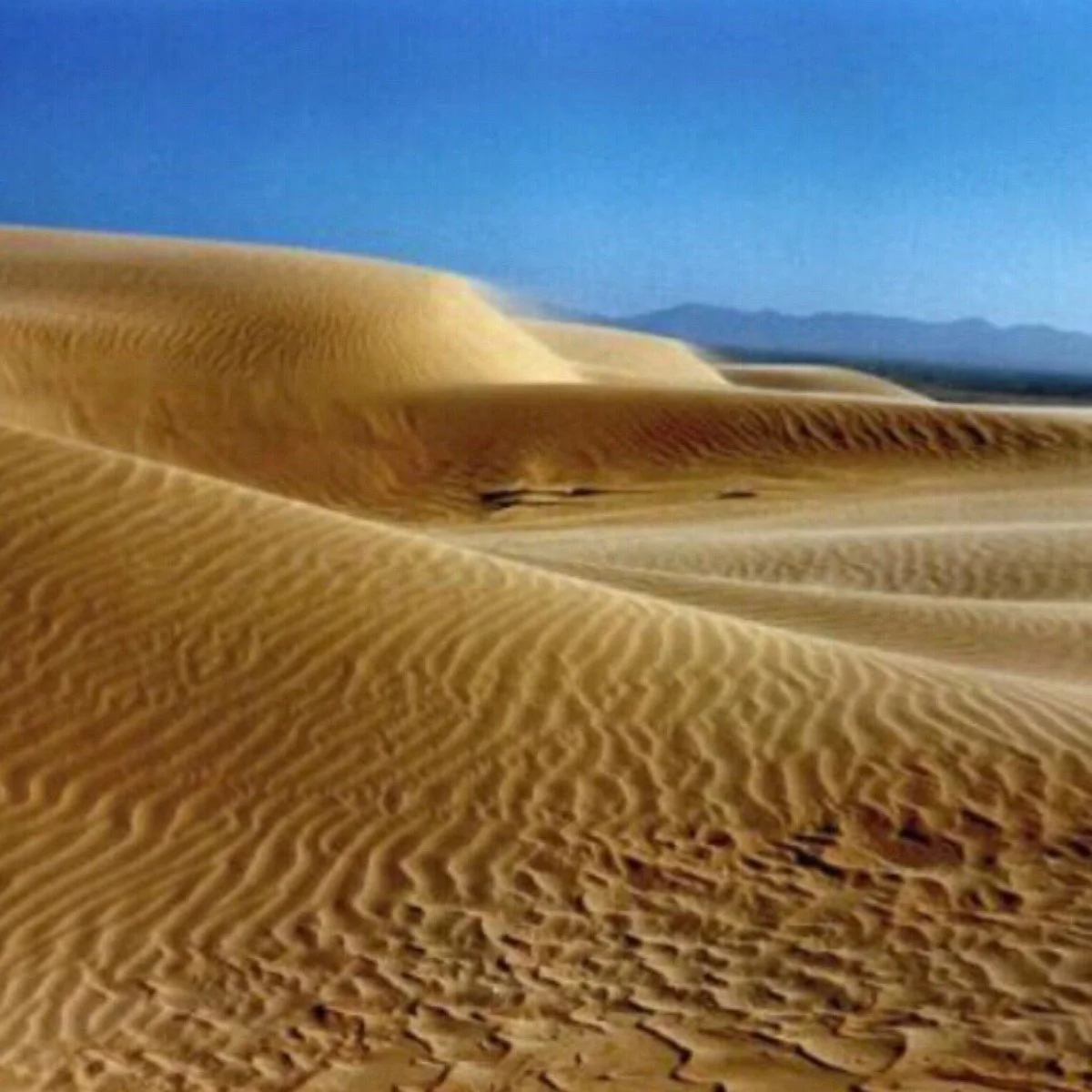 Dunas de Taroa