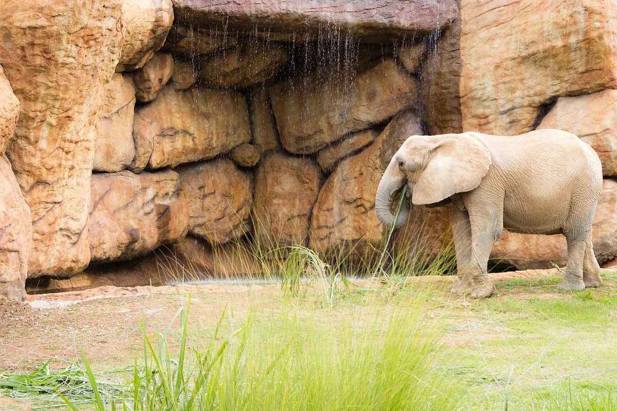 Bioparque Ukumari