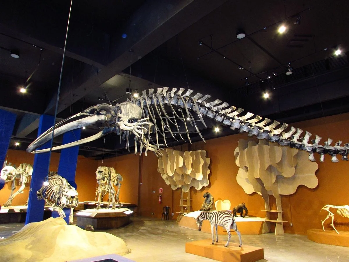 Natural Sciences Museum