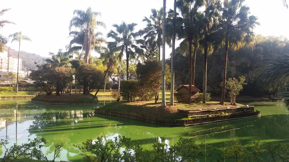 Mariano Procopio Foundation Museum