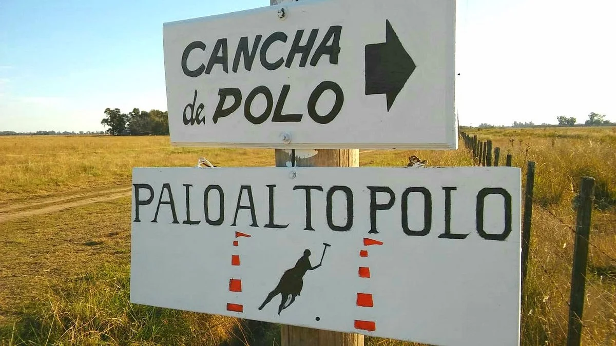 Palo Alto Polo Club