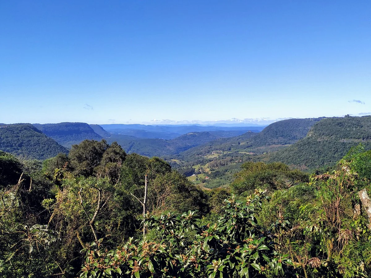 Mirante do Belvedere