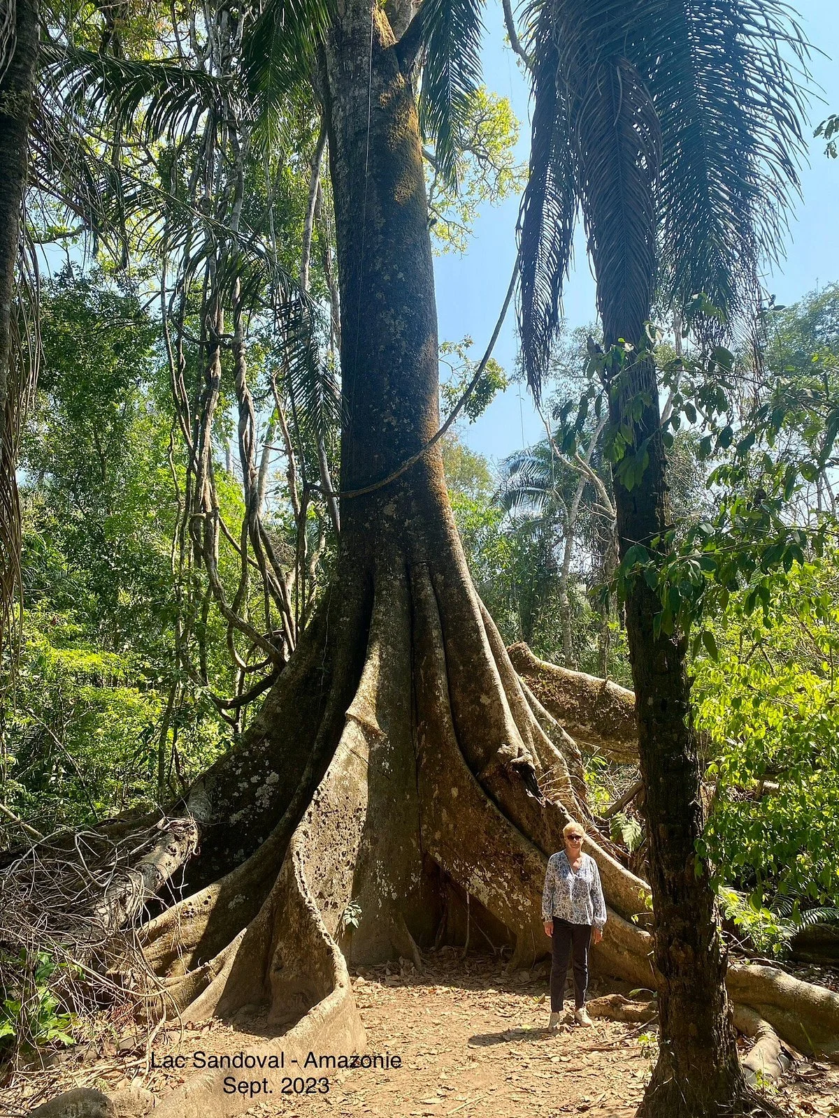 Tambopata National Reserve