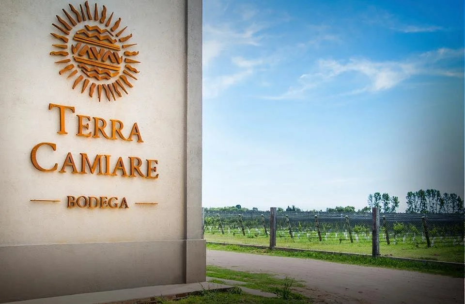 Bodega Terra Camiare
