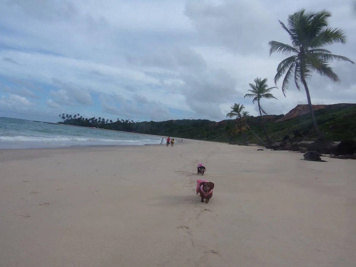 Mariscos Beach (Costa do Marlim)