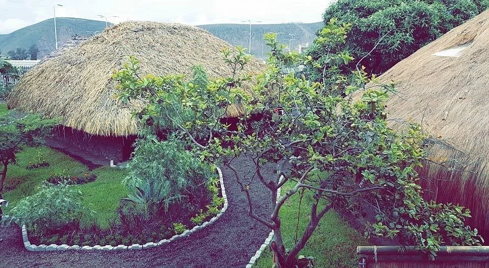 Parque Etnobotanico Omaere