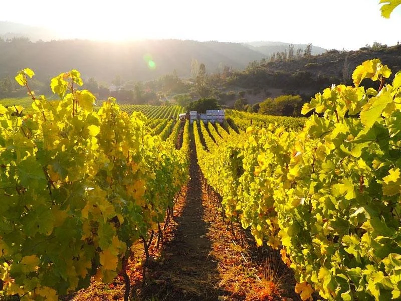 La Recova Wines