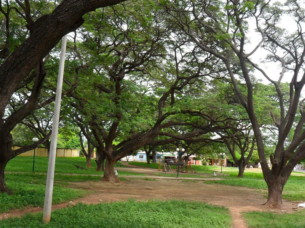 Parque de los Algarrobillos