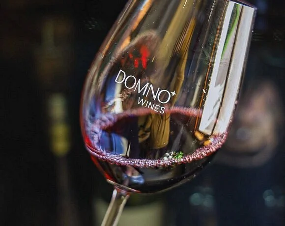 Domno Importadora Winery