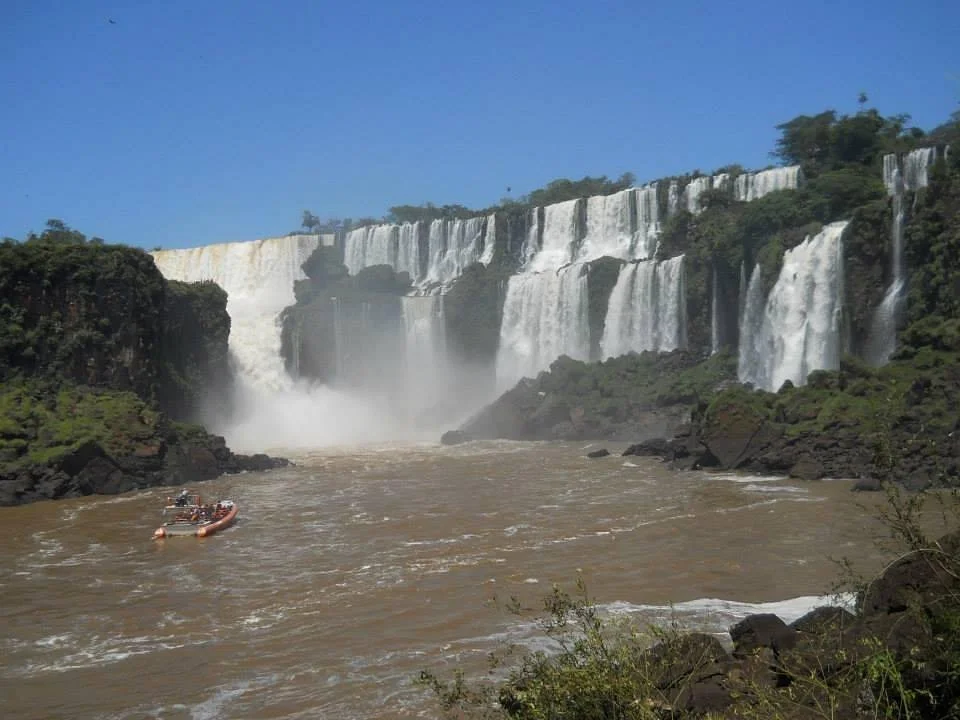 Safaris de la Selva