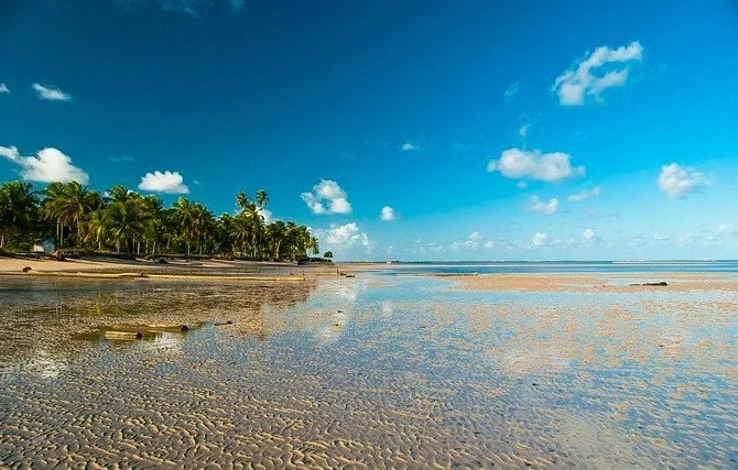 Tatuamunha Beach