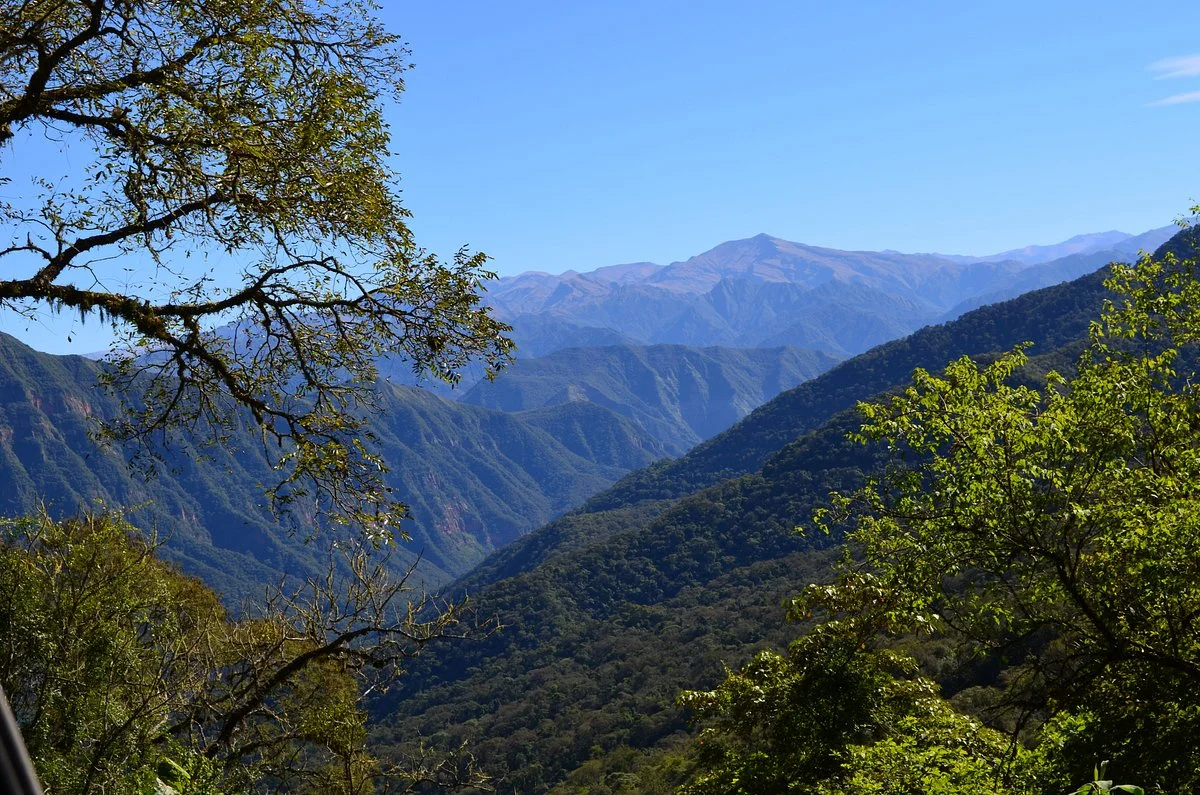 Calilegua National Park