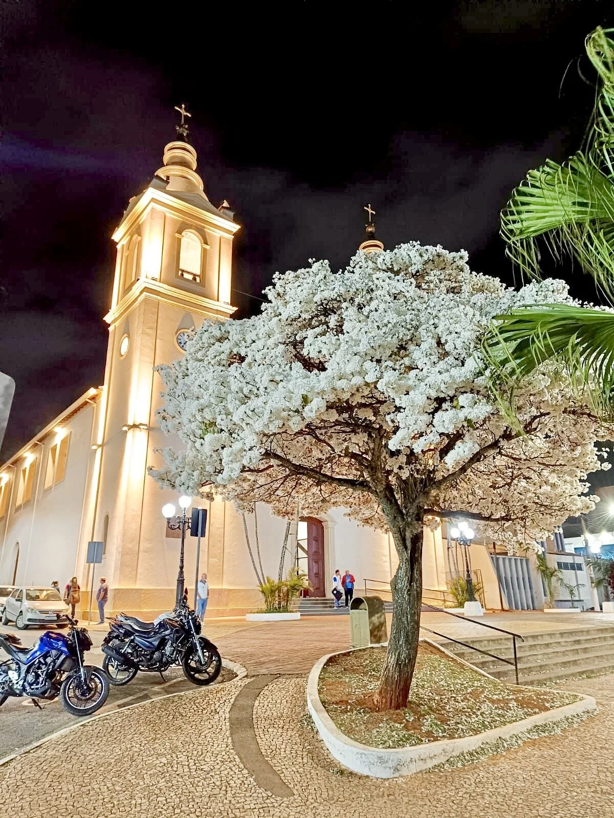 Catedral de Sant’Ana