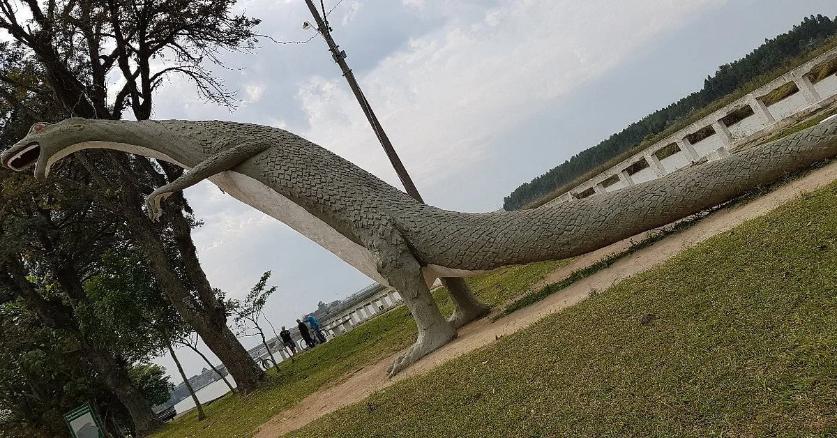 Dino Tijucas