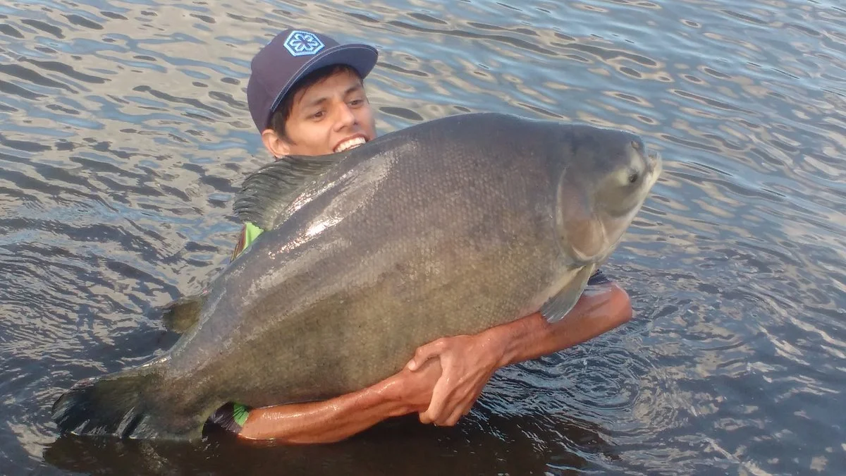 Pesqueiro Padilha