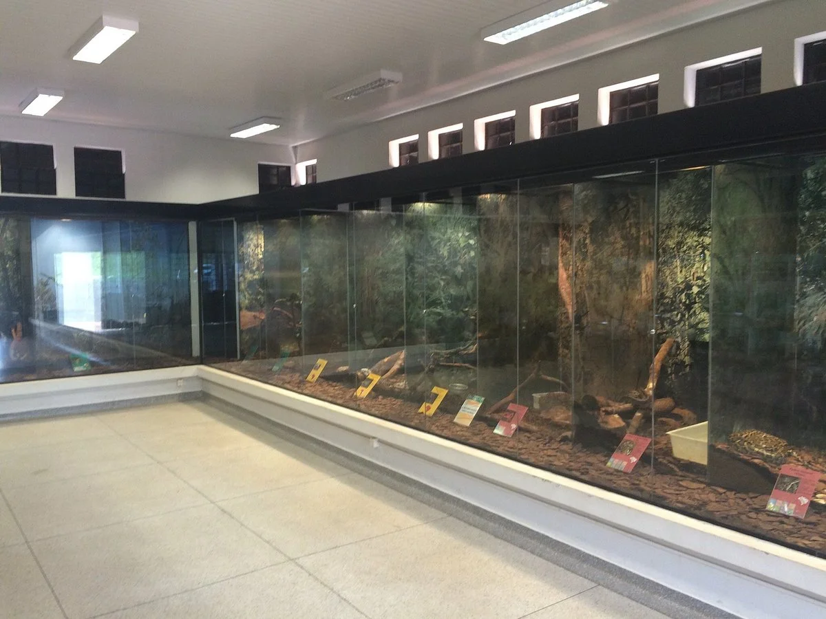 CEVAP unesp