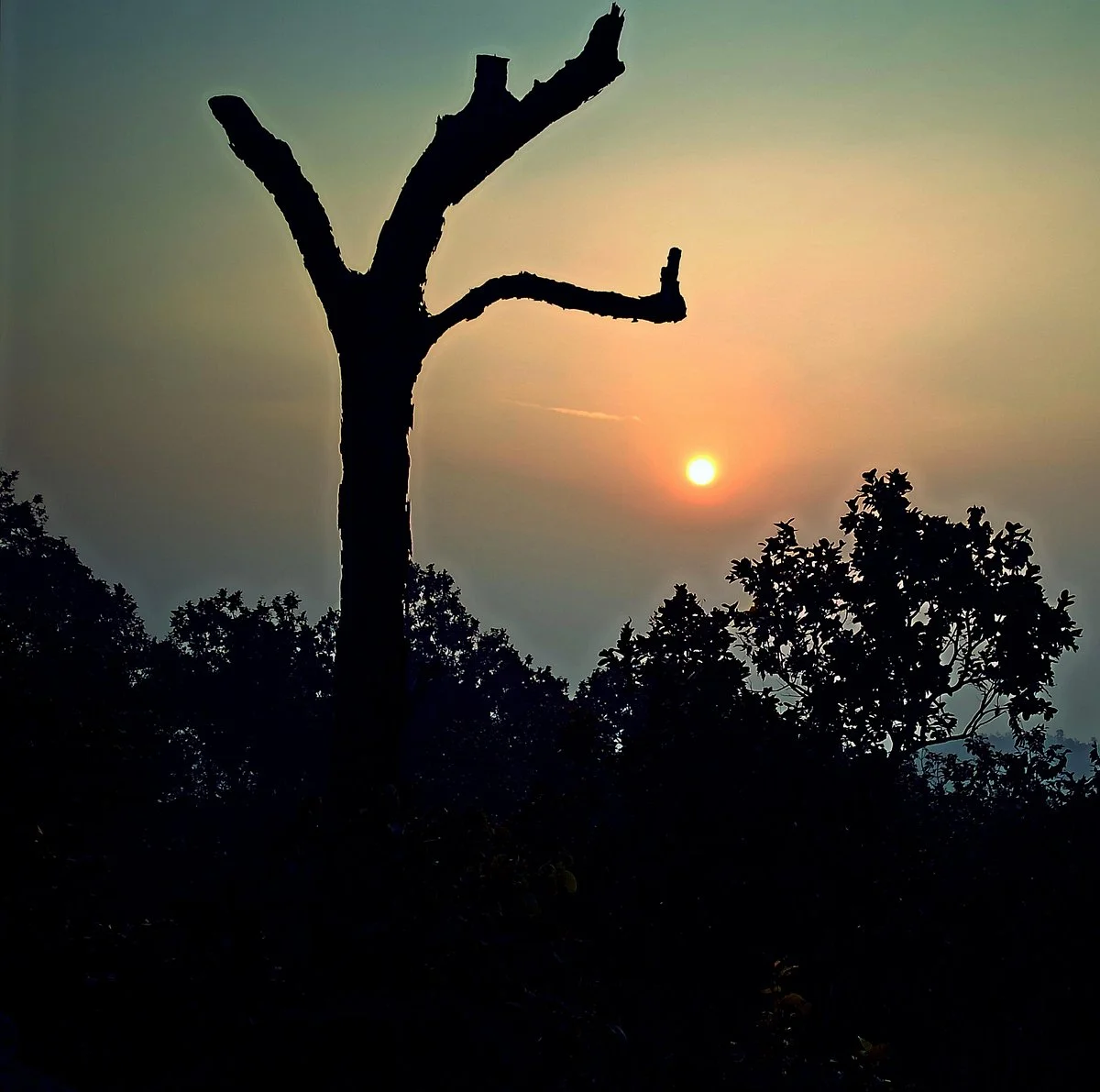 Netarhat (Queen of Chotanagpur)