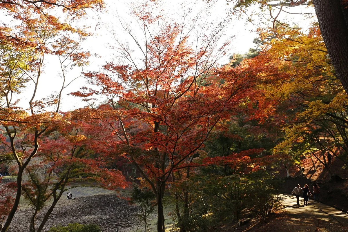 Shuzenji Nature Park