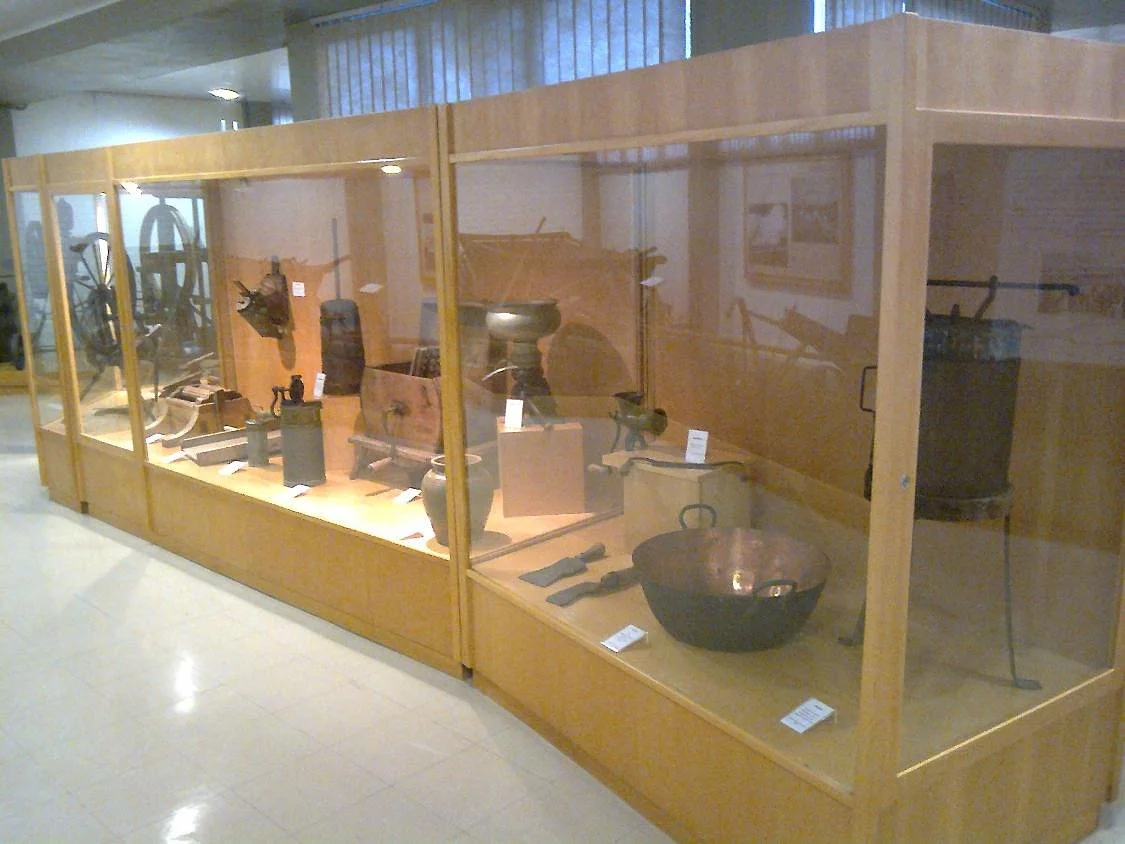 Antropologico Diretor Pestana Museum