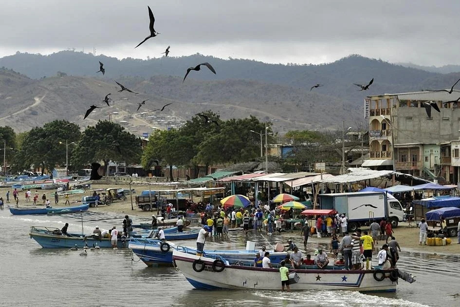 Morning Fish Market