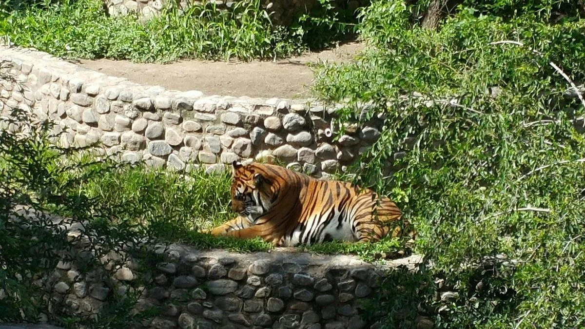 Zoo de Cordoba