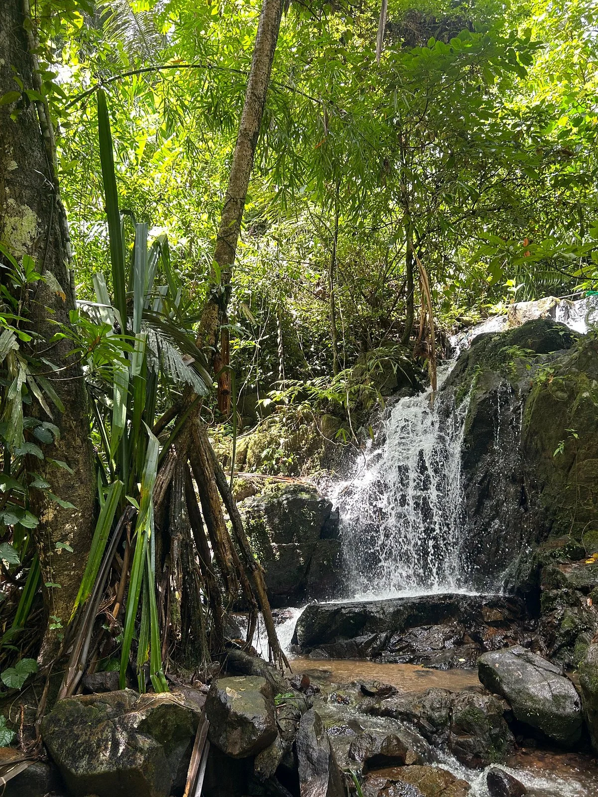 Ton Sai Waterfall