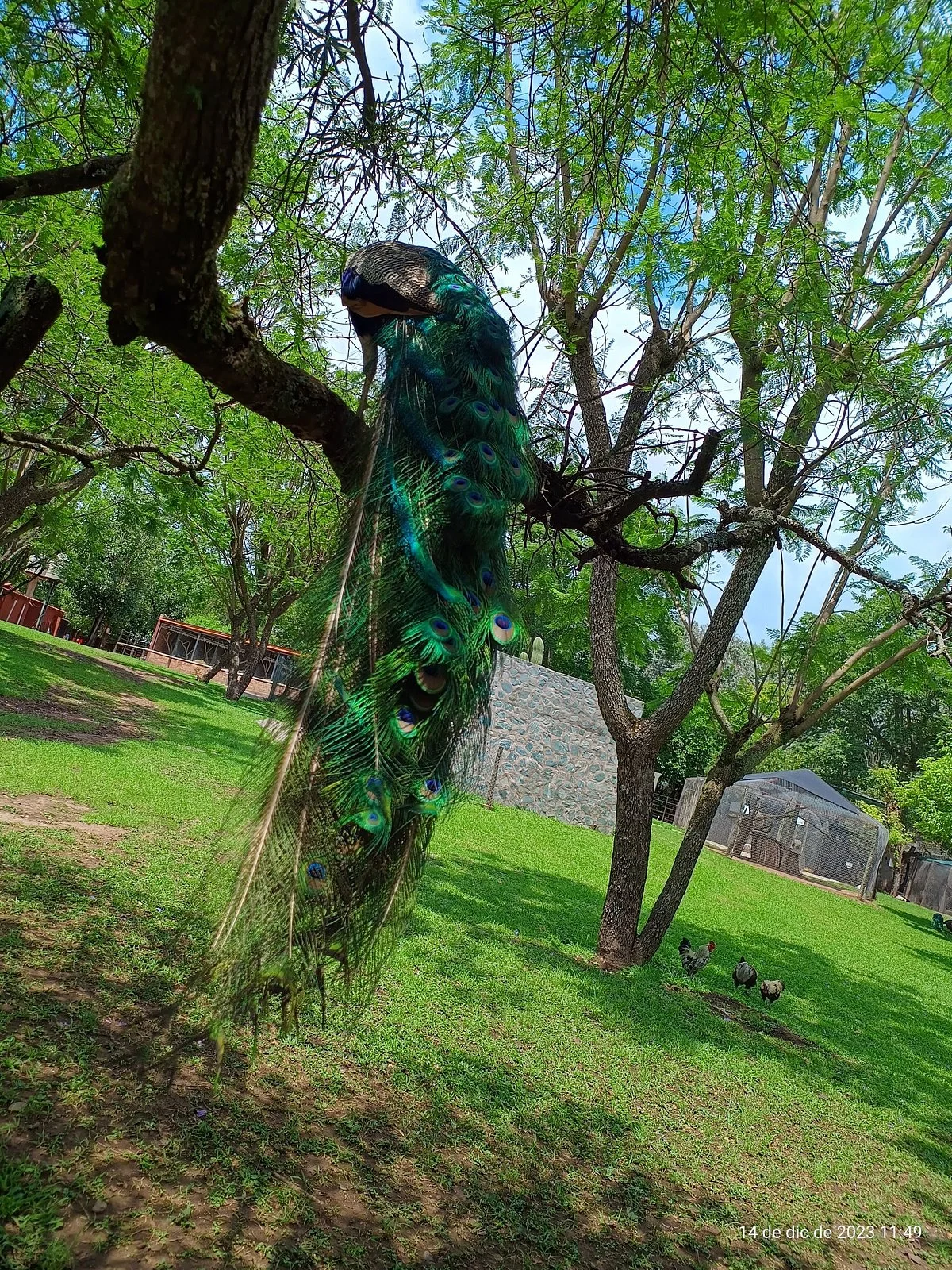 Reserva Fitozoologica San Pedro de Colalao