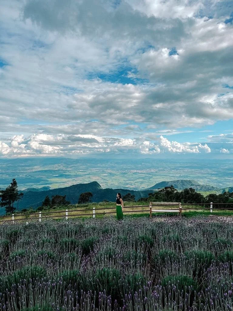 Parque do Itapeva