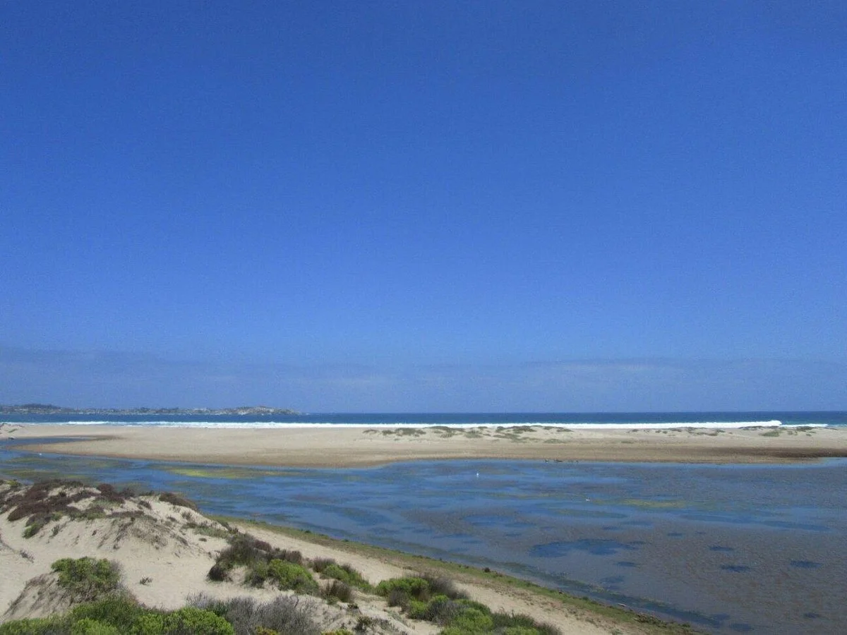 Punta Quelen