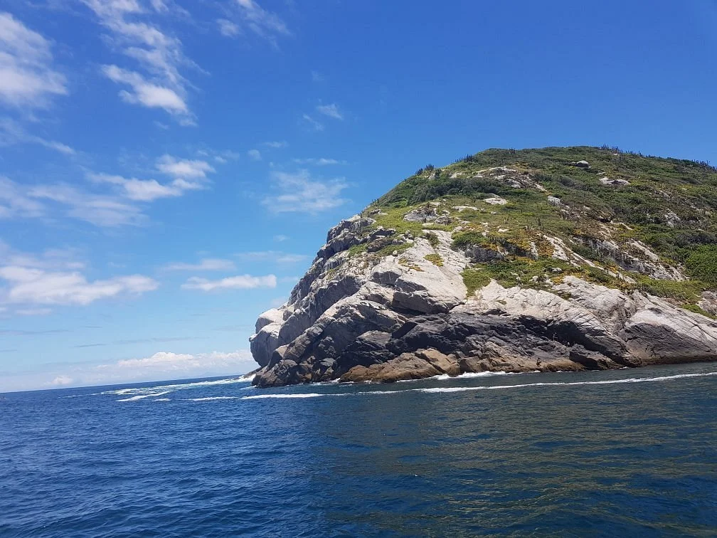 Pedra Perfil do Gorila