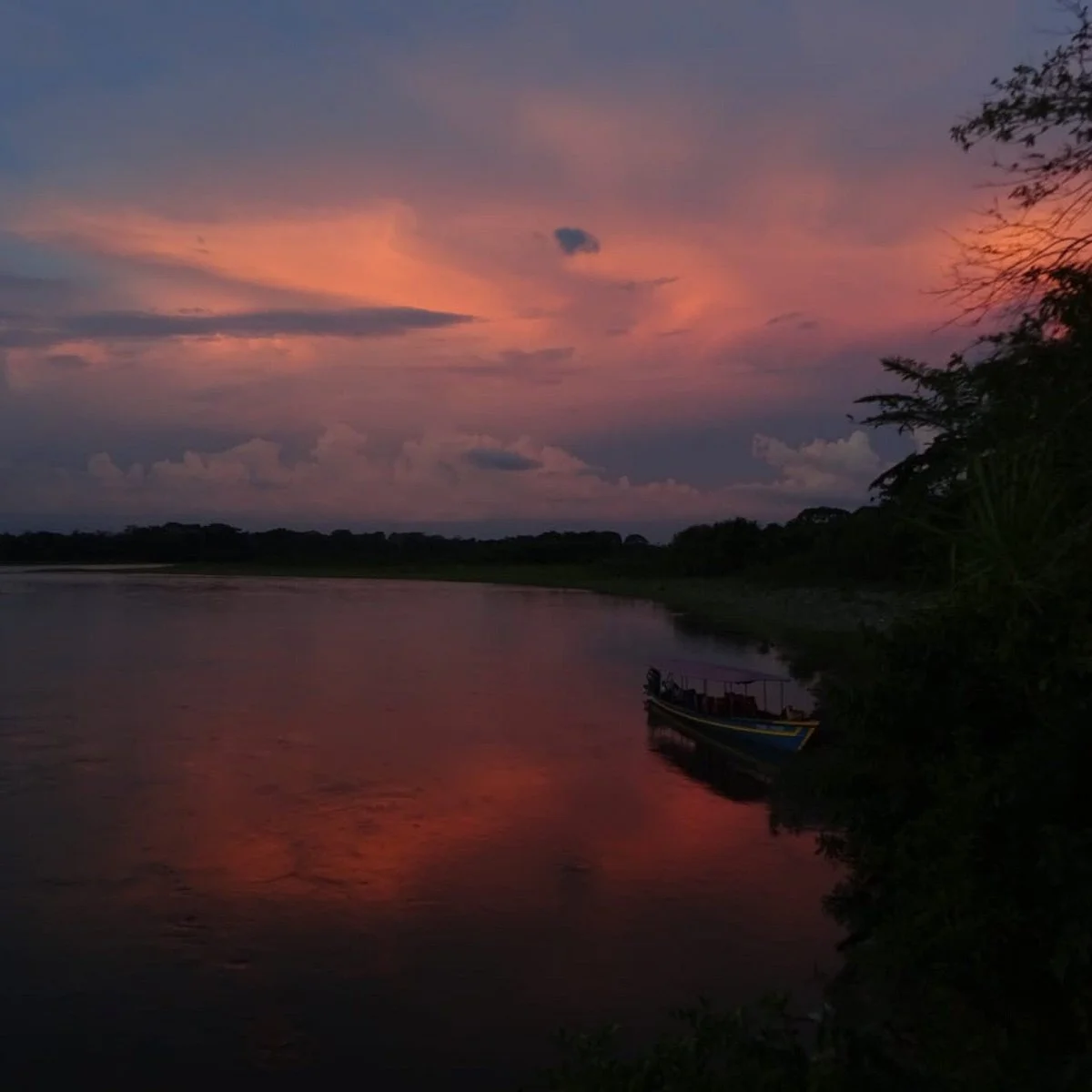 Manu National Park