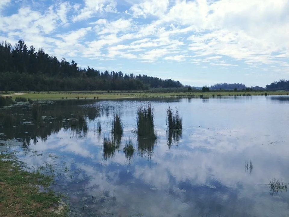 Reserva Nacional Lago Penuelas